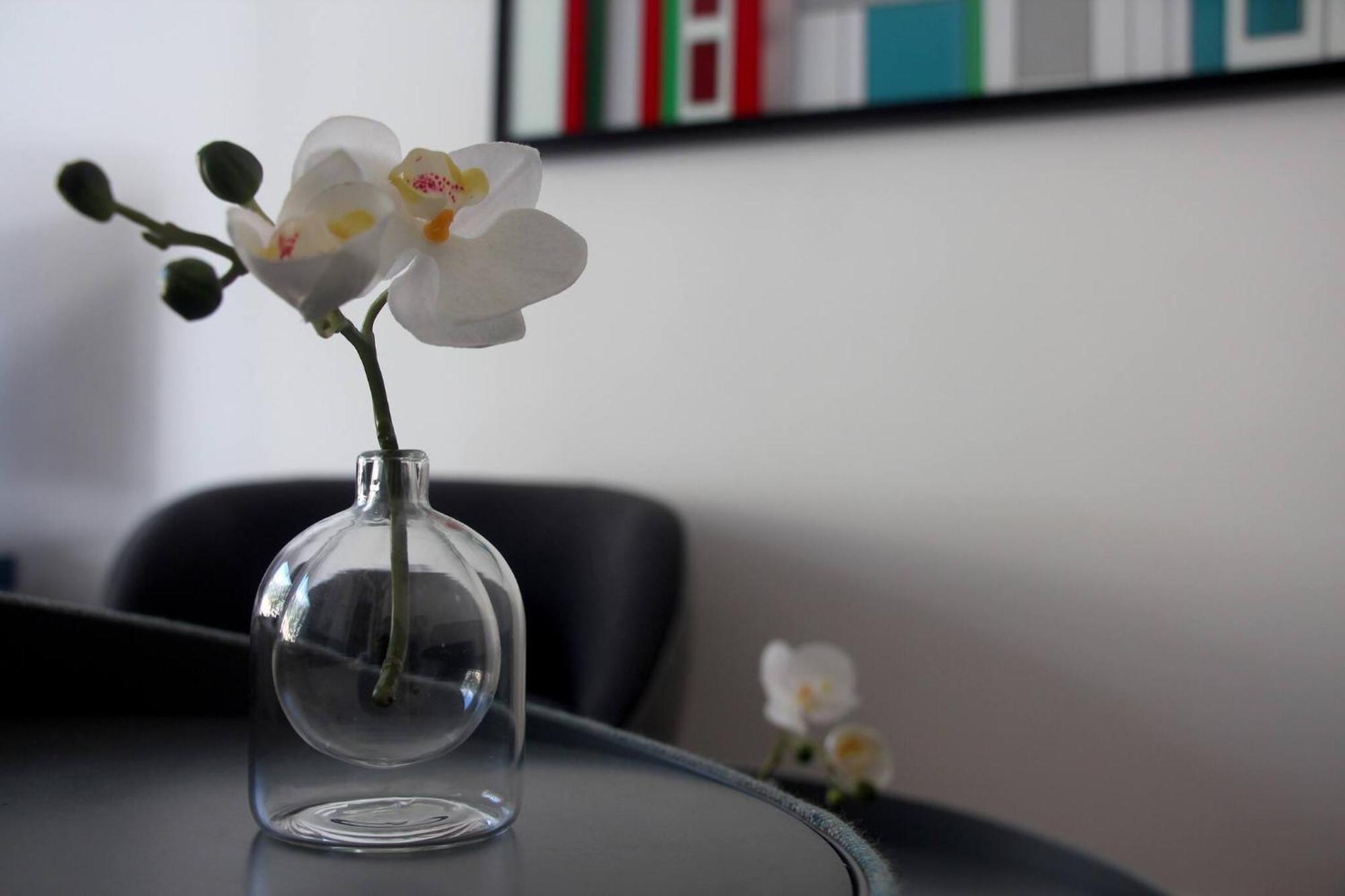 Luxurious Apartments Monaco&Seaview, Infinitypool&Parking โบโซเลย ภายนอก รูปภาพ